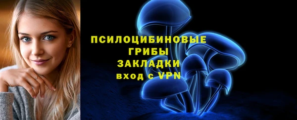 меф Козельск
