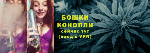 индика Михайловка