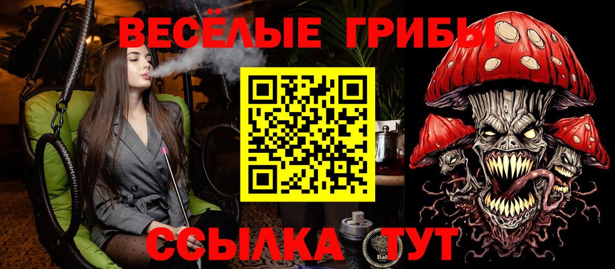 Галлюциногенные грибы GOLDEN TEACHER Чусовой