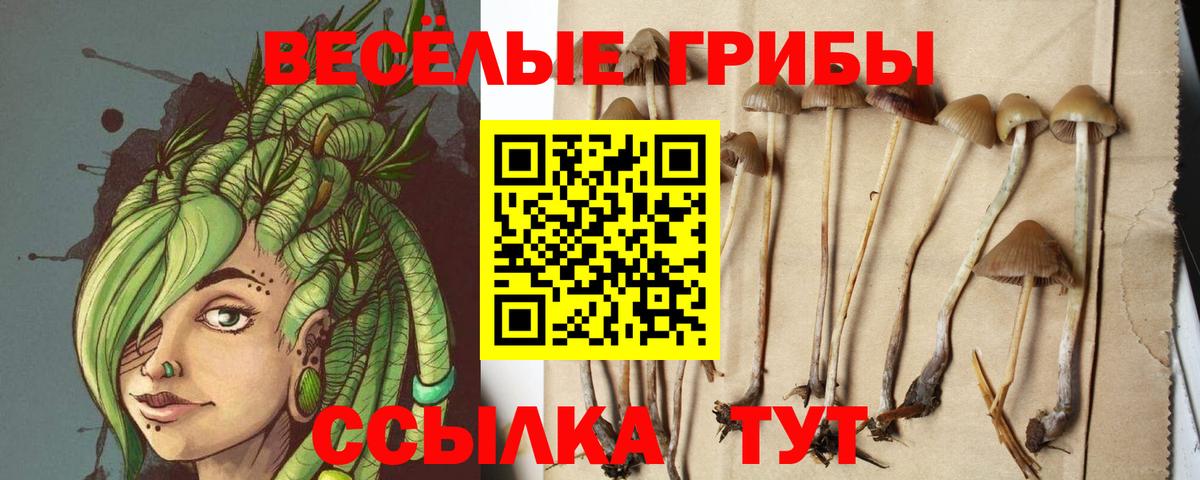 Псилоцибиновые грибы GOLDEN TEACHER Чусовой